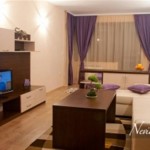 4.Neviastata