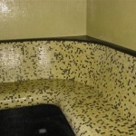 dymanov hotel2
