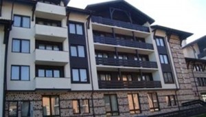 lion bansko4