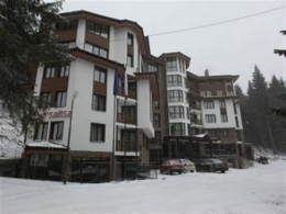 myrsalica1