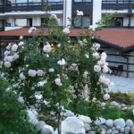 sanraiz park spa kompleks9
