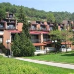 vilielenite5