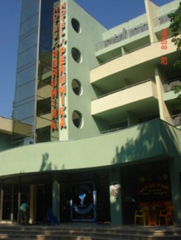 perunika1