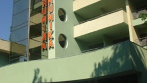 perunika1