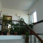 serdika7