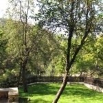 tintiava7